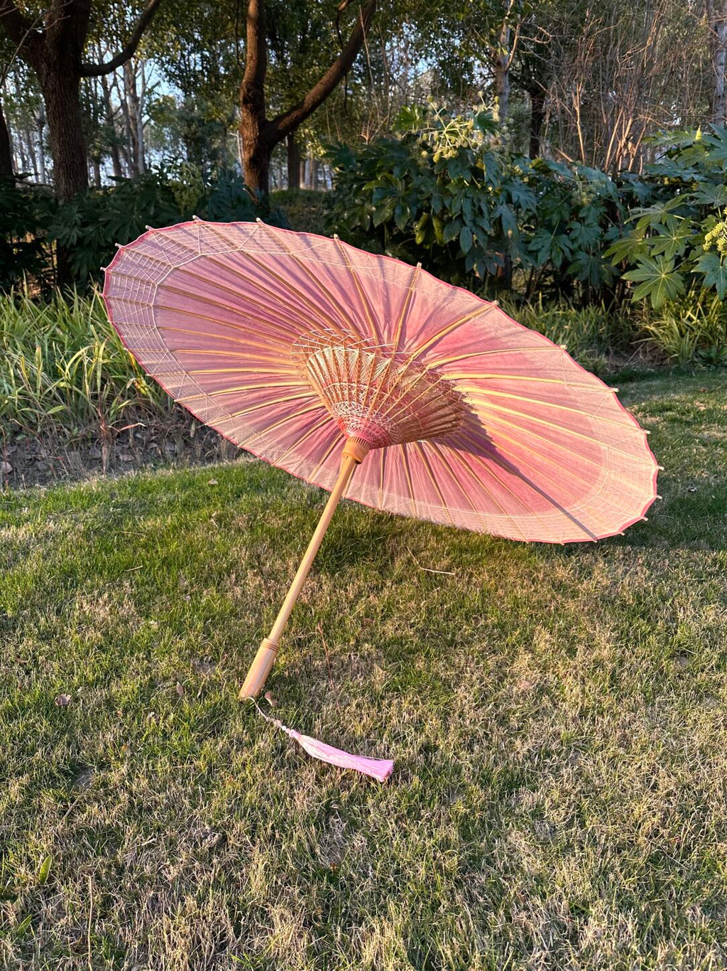 Peach Blossom Blush #003