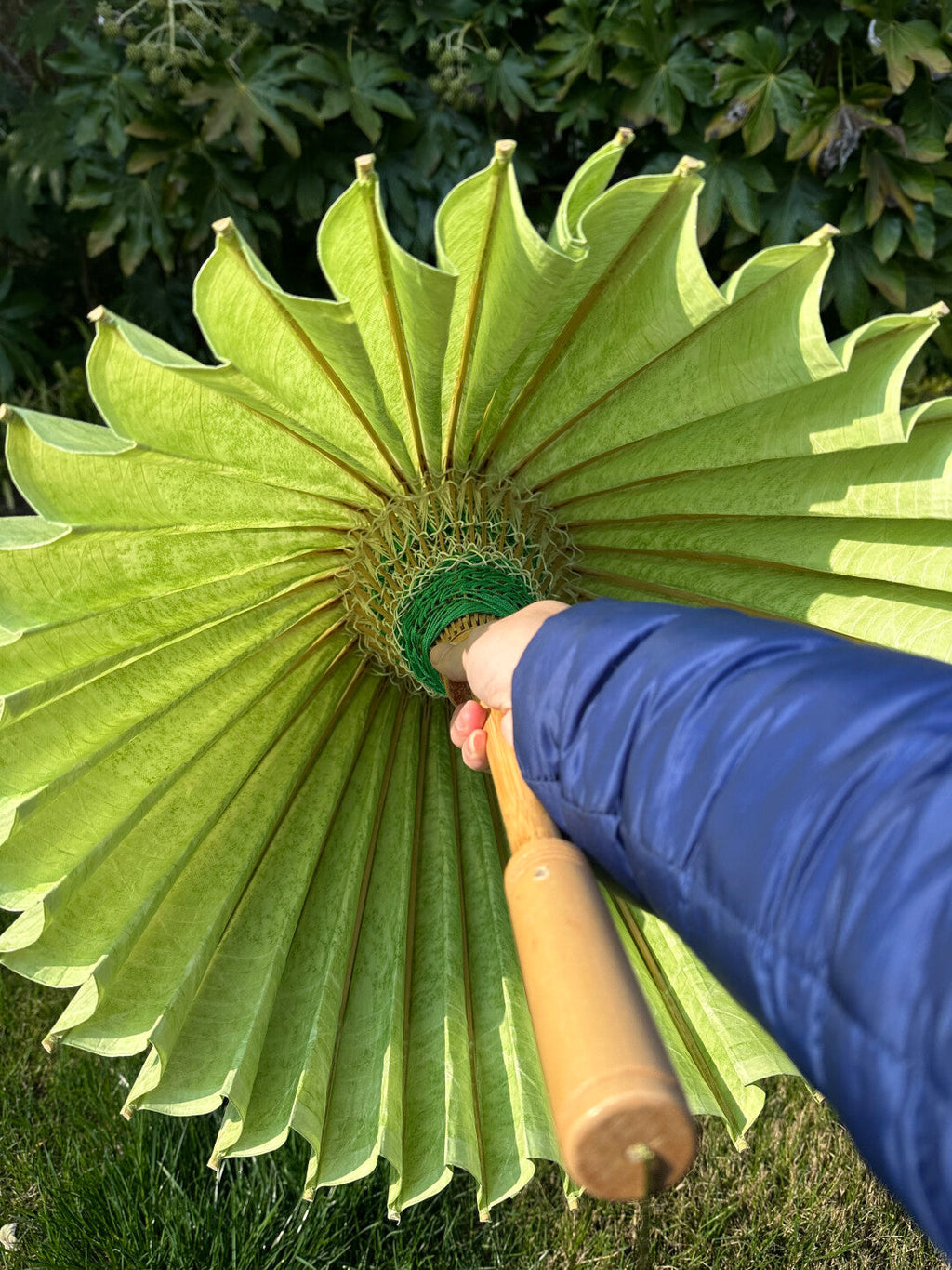 Zenith Haze (Mountain Ether)