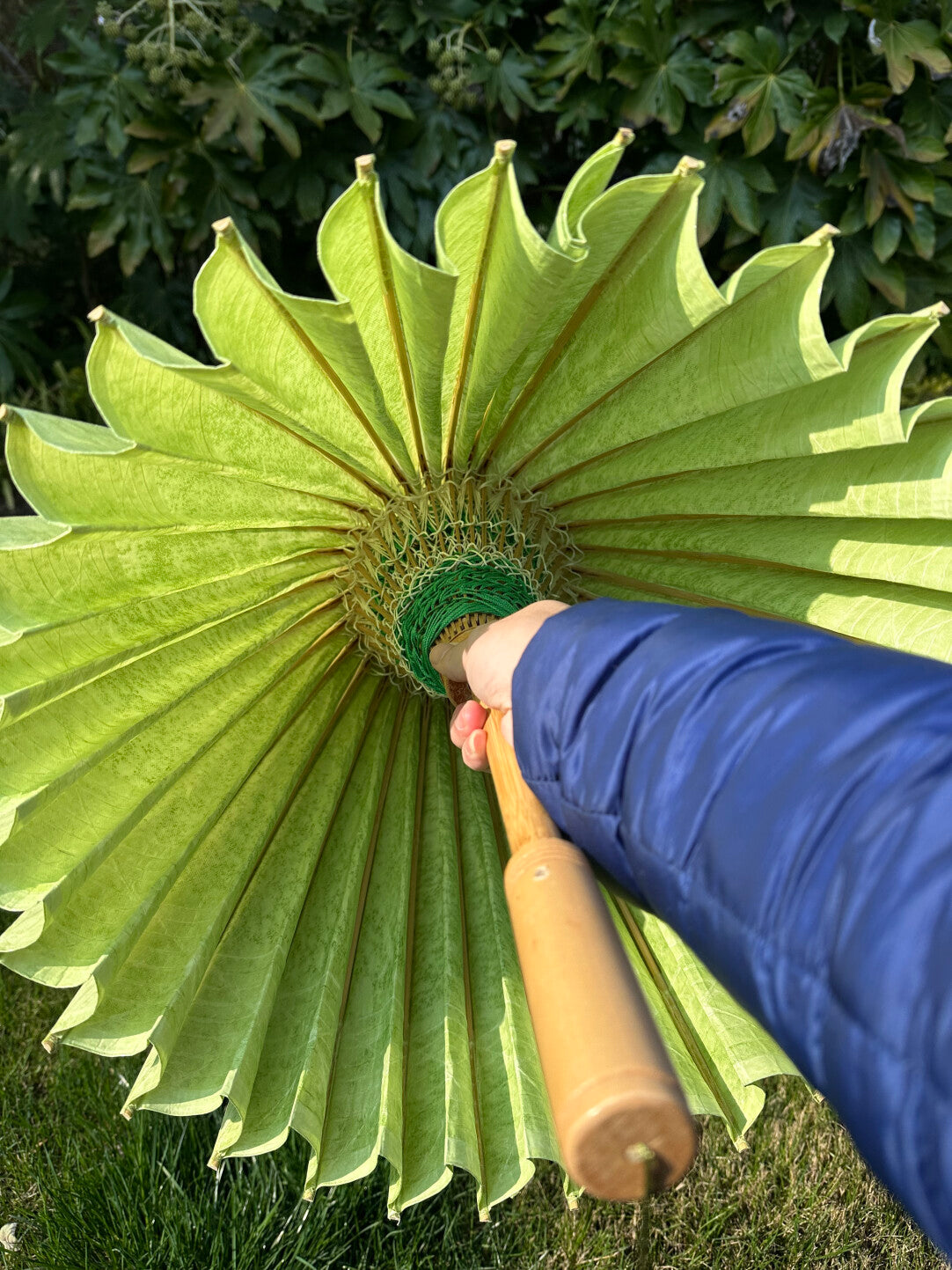 Zenith Haze (Mountain Ether)