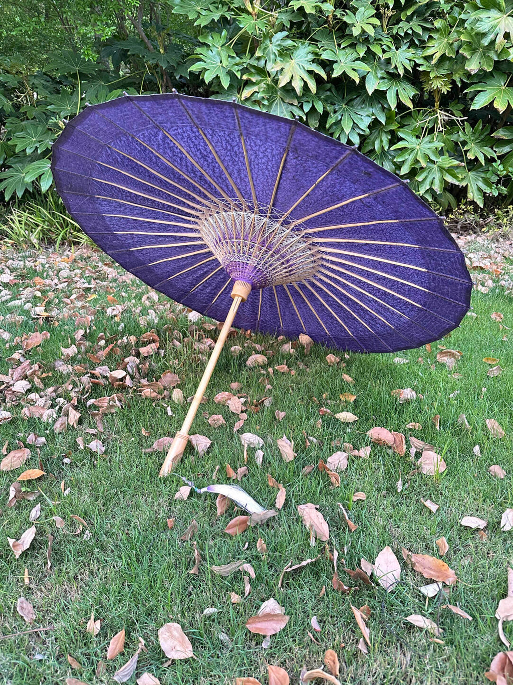 Twilight Mist Violet