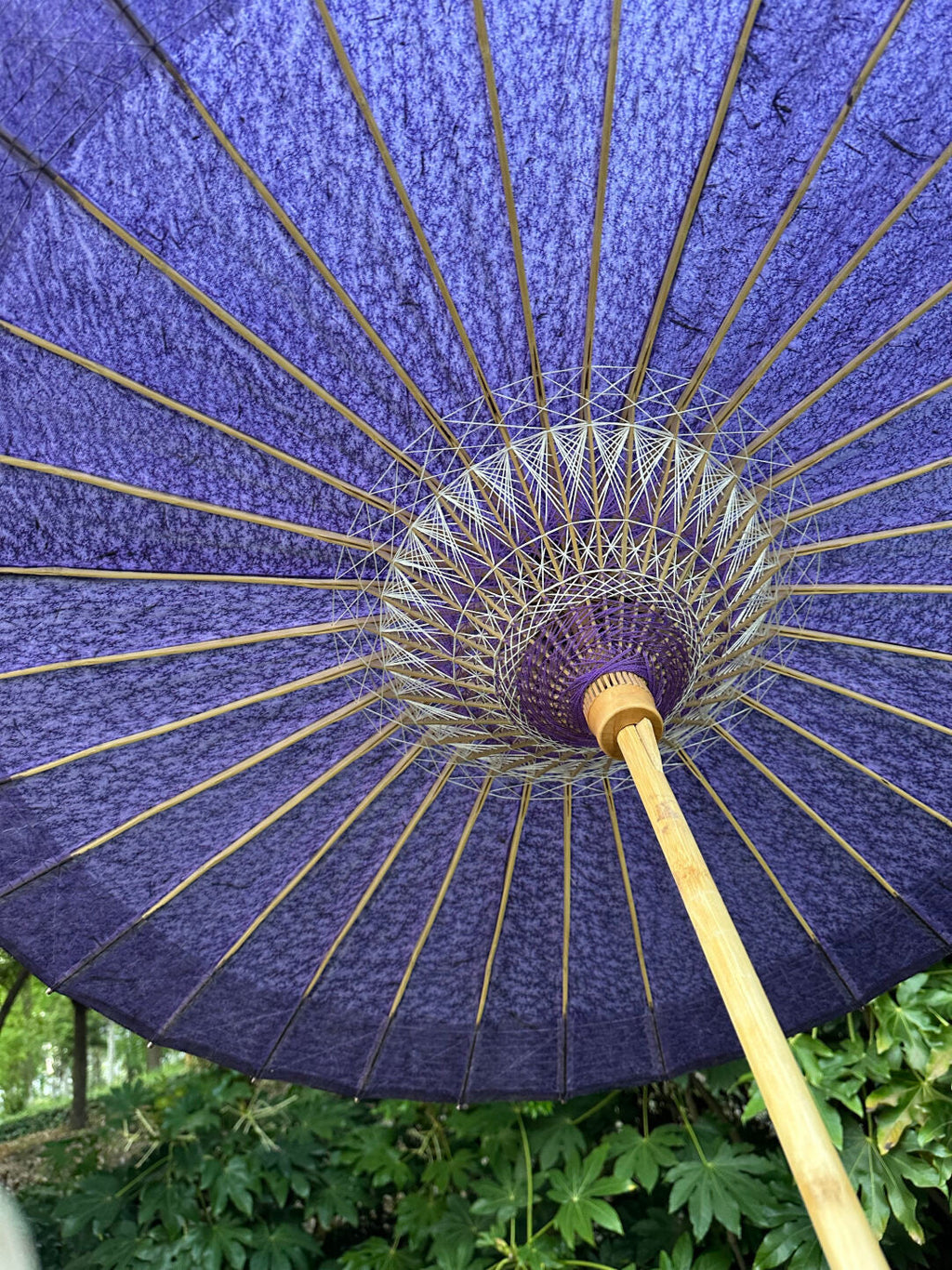 Twilight Mist Violet