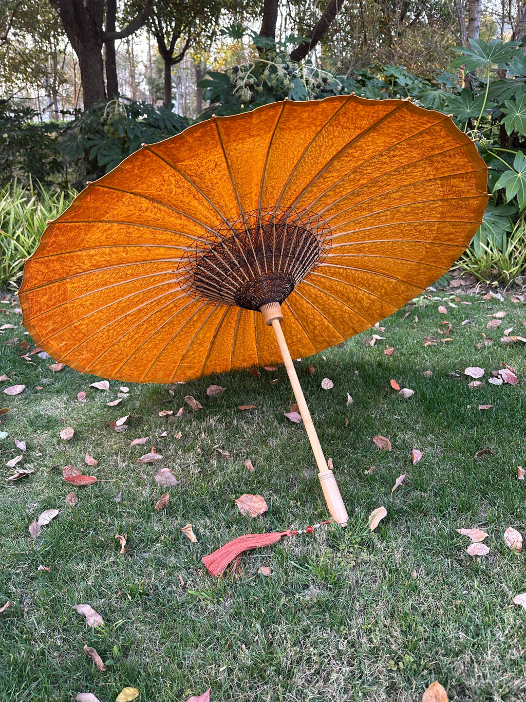 Golden Kumquat Pumpkin #006