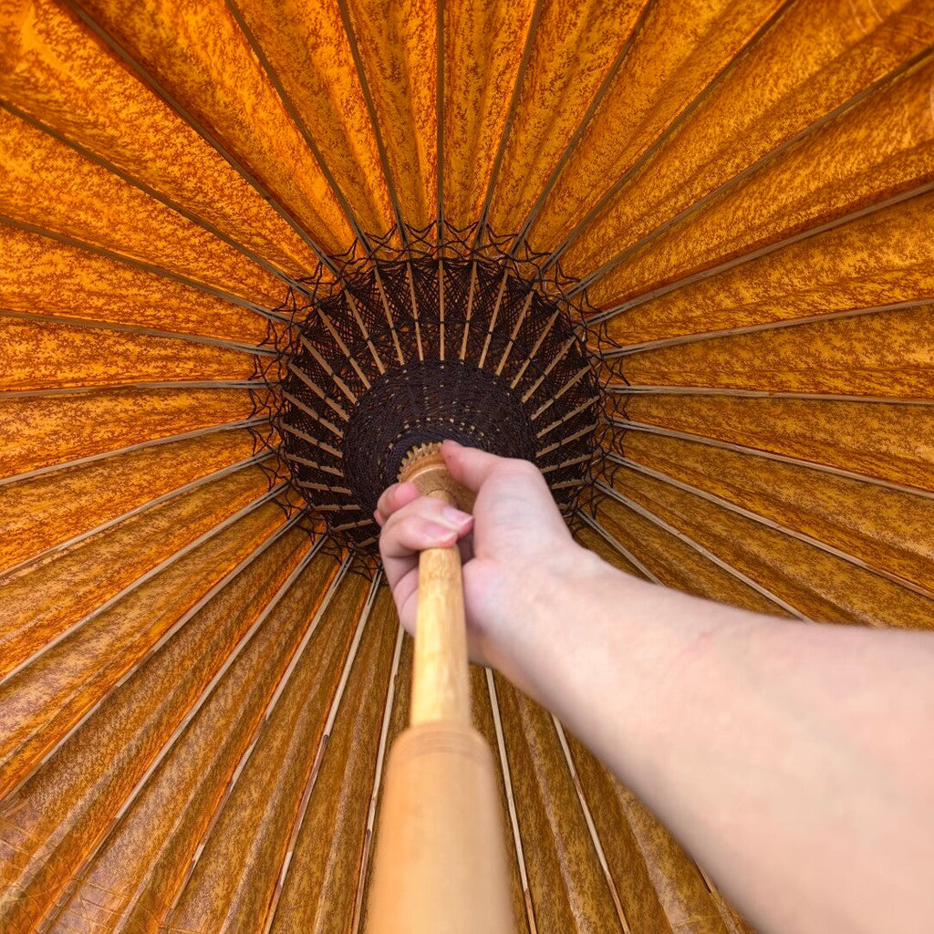 Golden Kumquat Pumpkin #006