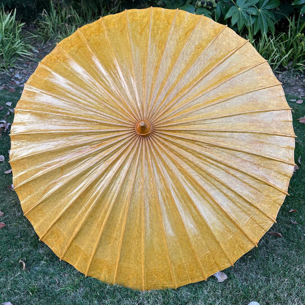 Golden Kumquat Pumpkin #006