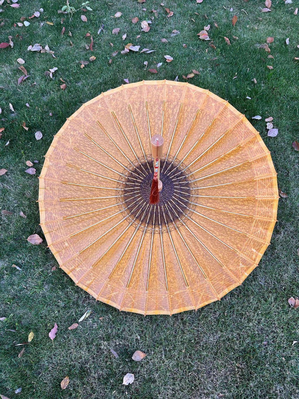 Golden Kumquat Pumpkin #006