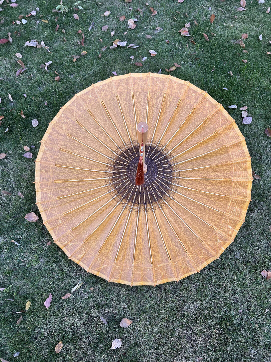 Golden Kumquat Pumpkin #006