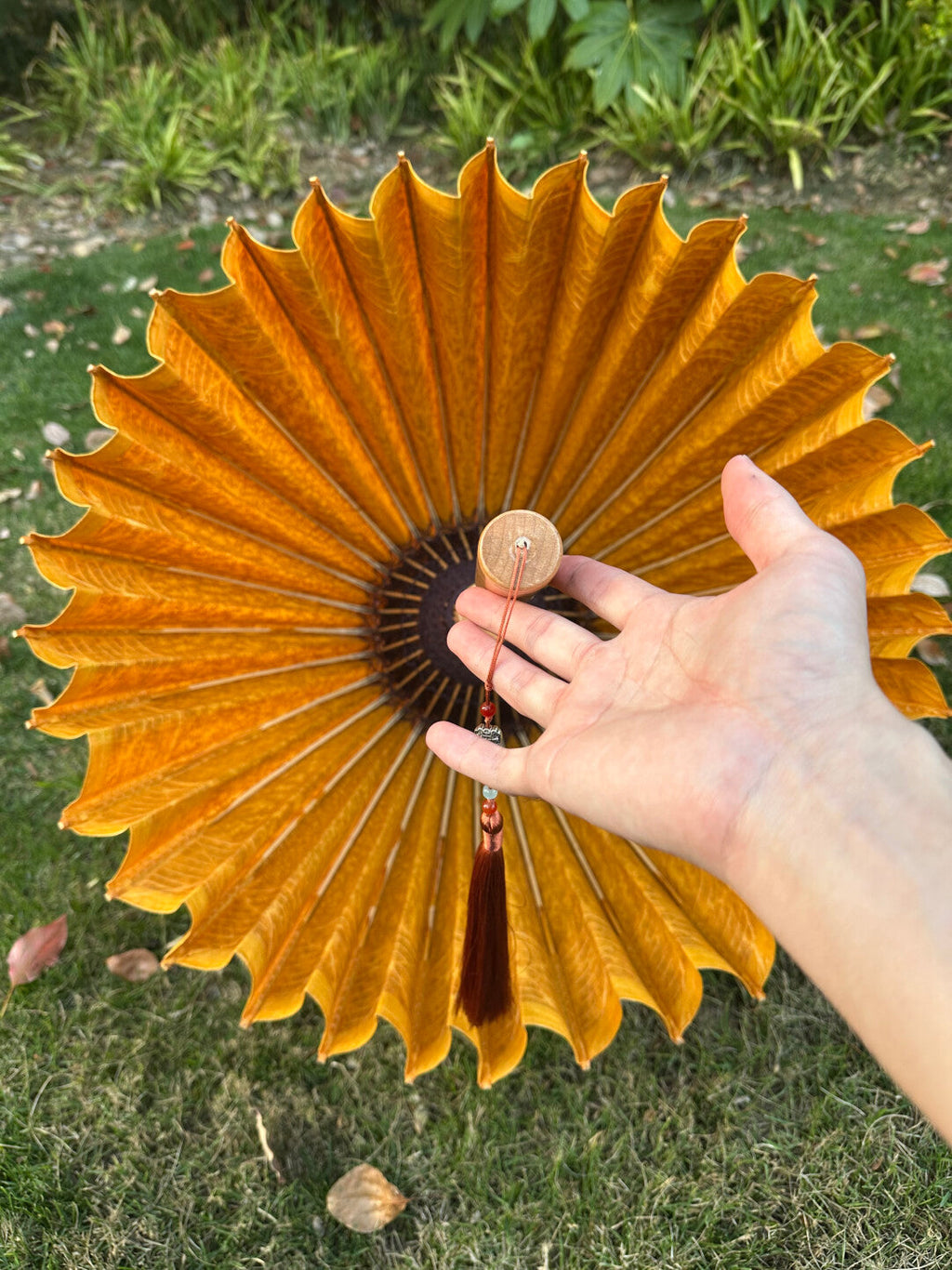 Golden Kumquat Pumpkin #006