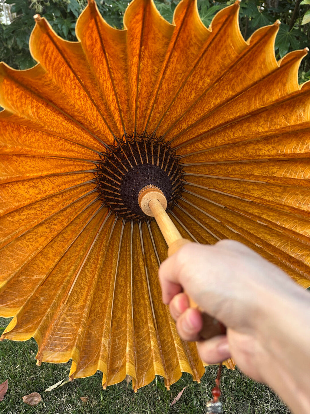 Golden Kumquat Pumpkin #006