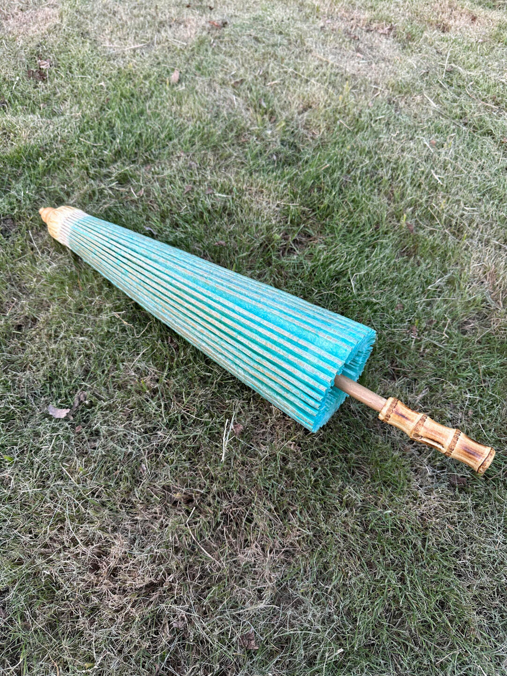 Rainwater Cladon #005