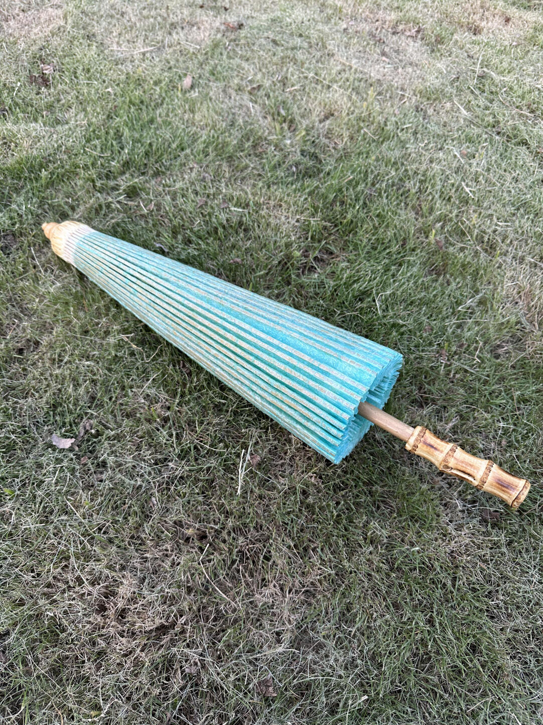 Rainwater Cladon #005