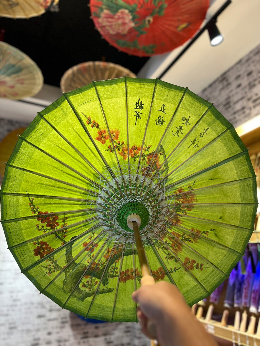 hand drawn,Green Grain Red Plum Blossom